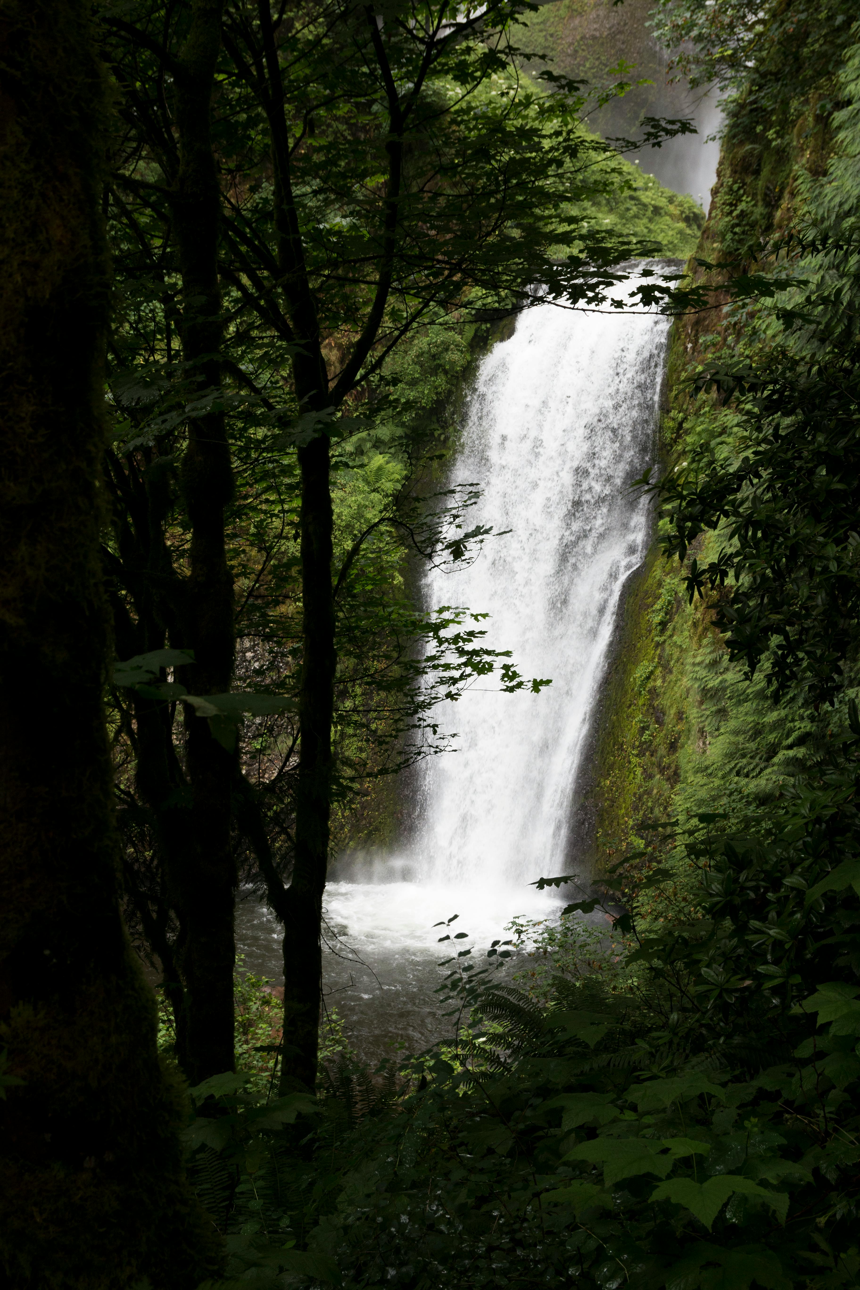 Photo of a serene waterfall cascading down rocky ledges in a lush forest. The waterfall is surrounded by dense greenery and moss-covered stones, creating a tranquil and picturesque natural scene. The image captures the peaceful ambiance of the woodland setting and the beauty of the flowing water.