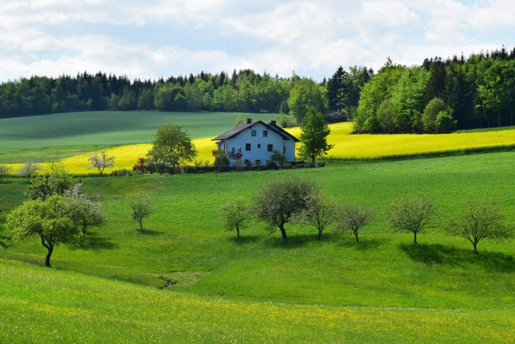 Photo of a house situated on a sprawling green grass lawn in Happy Valley. The home is surrounded by open, lush fields, with a picturesque, rural backdrop. The image conveys a sense of tranquility and space, highlighting the serene, country-like charm of the property.